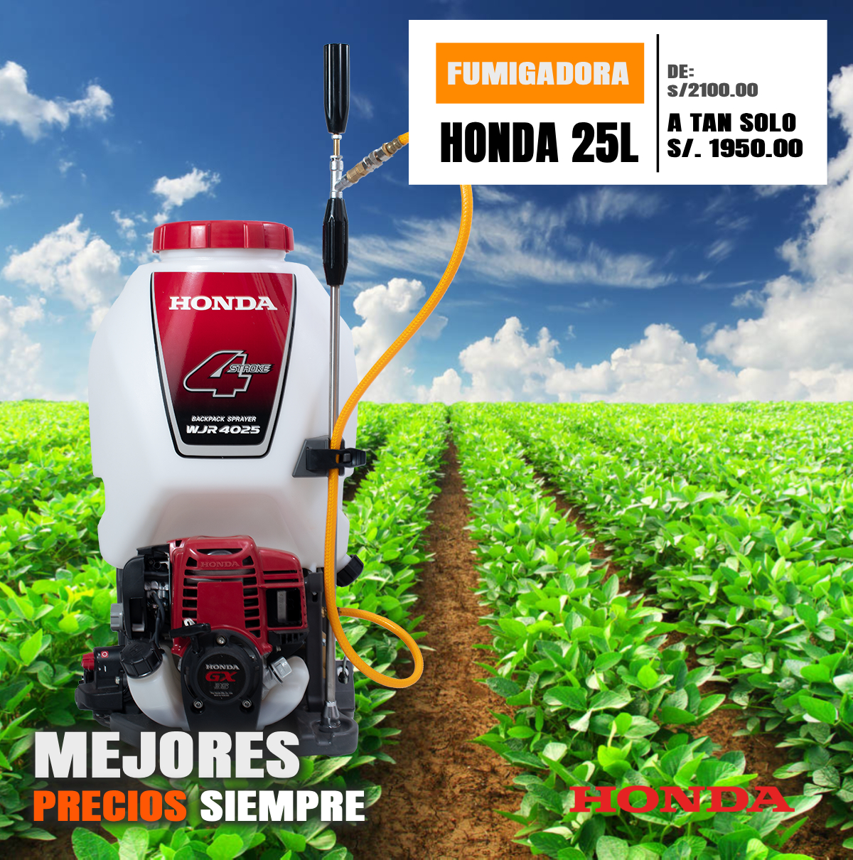 Mochila fumigadora 25lt 1.6hp HONDA WJR4025T